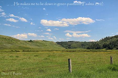 He Leads Us To Green Pastures